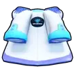 D.S. Coat