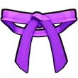 Dojo Belt (Purple)