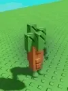 Oil