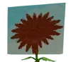 OldAmber