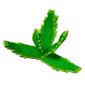 Aloevera