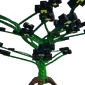 Biggest Shadow Buttercup