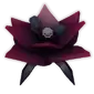 Black Bat Flower