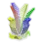 Bonanzabloom