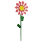 Candy Sunflower