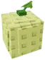 Cantaloupe
