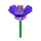 Crocus