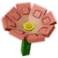 Crown Of Thorn