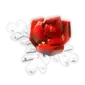 Cryo Rose