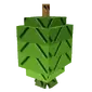 Feijoa