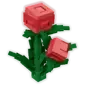 Fissure Berry
