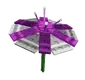 Parasol Flower