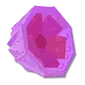 Pink Rose