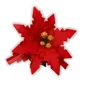 Poinsettia