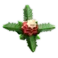 Pollencone