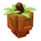 Persimmon
