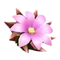 Thornspire