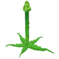 Tallasparagus