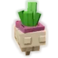 Turnip