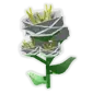Yarrow