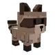 Raccoon