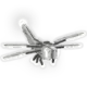 Silver Dragonfly