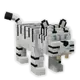 White Tiger