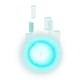 Wisp