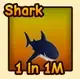 Shark