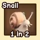 Snail
