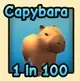 Capybara