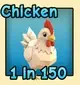 Chicken