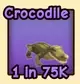 Crocodile