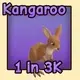 Kangaroo