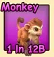 Monkey