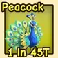 Peacock