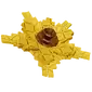 Sun Coil