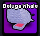 Beluga Whale