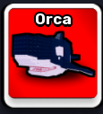 Orca