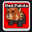 Red Panda