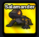 Salamander