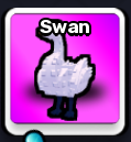 Swan